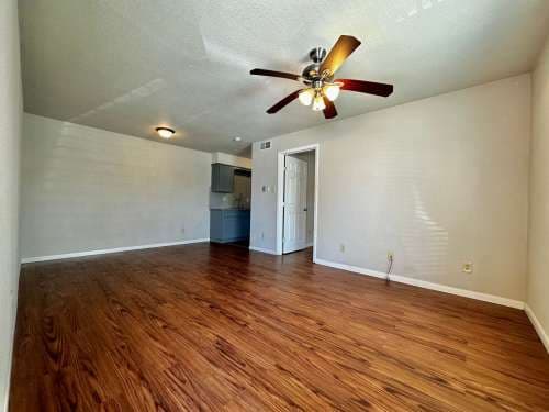 Economical 1 Bd / 1 Ba at Spring Tree Near Baylor!