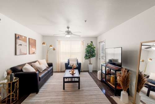 Lodge in San Marcos
