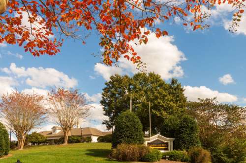 Cumberland Ridge