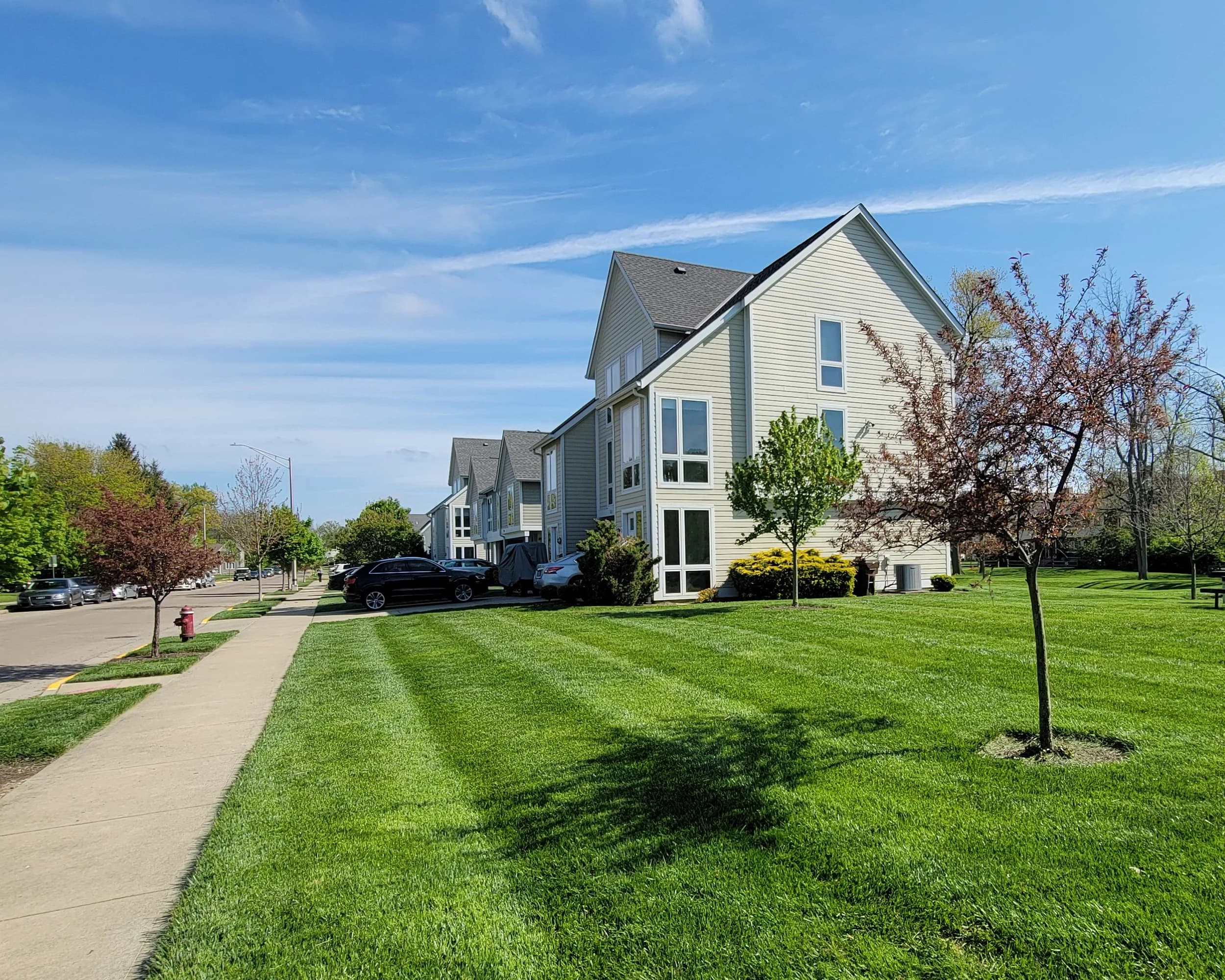 Campus Commons
