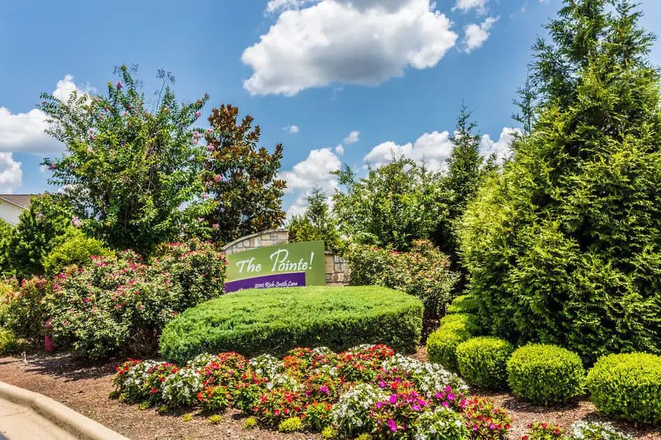 The Pointe at Conway