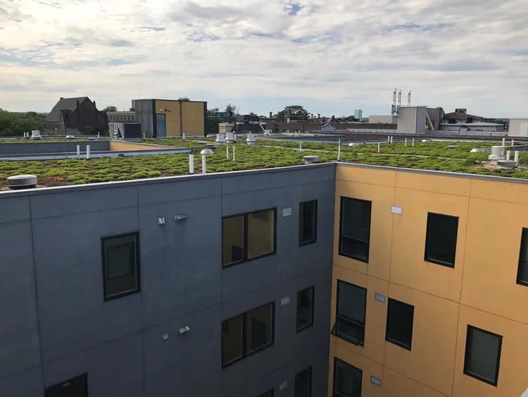 Skyline Apartments