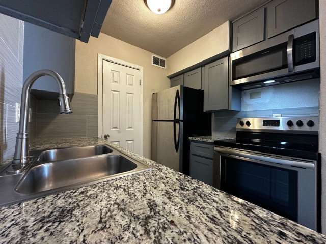 Economical 1 Bd / 1 Ba at Spring Tree Near Baylor!