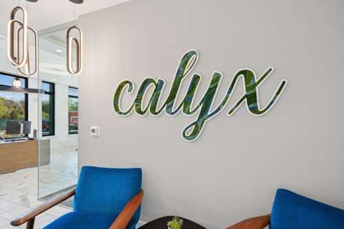 Link Apartments® Calyx