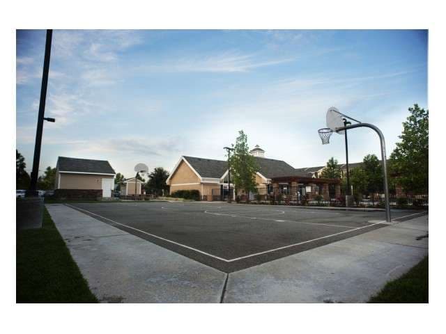 Copper Beech Fresno