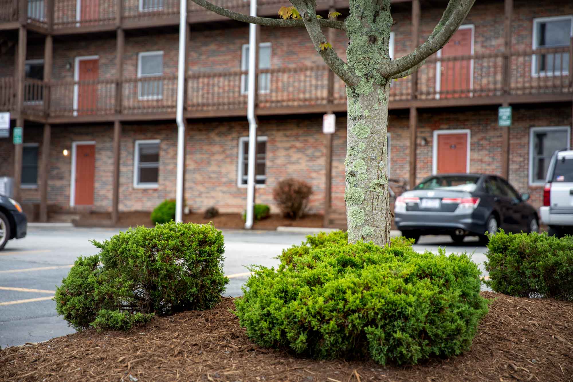 Cardinal Apartments