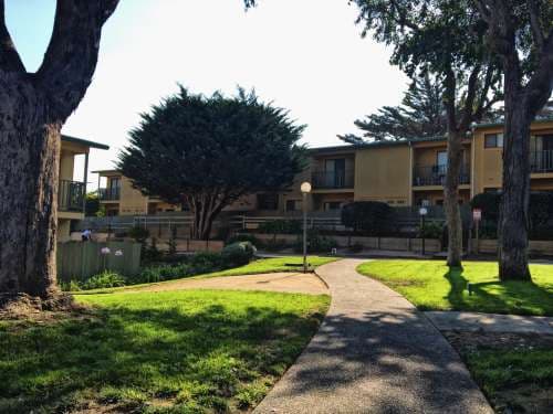 Del Monte Blvd. (3306) Marina Cypress (MC)