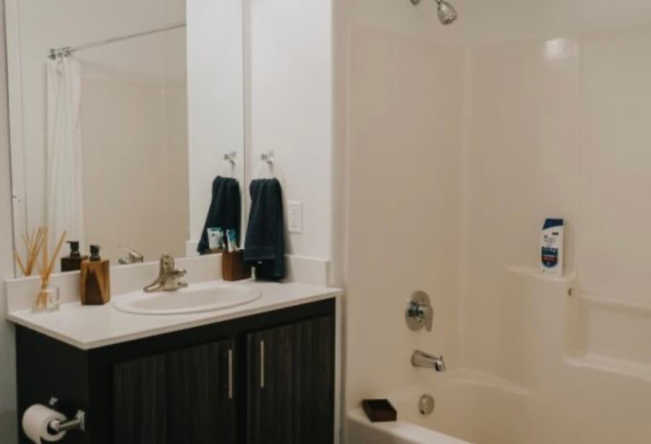 ‼️DISCOUNTED RENT‼️ PRIVATE MASTER BEDROOM AND BATHROOM