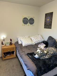 First Month Free - lease takeover. Private Room, pet friendly, close to campus!