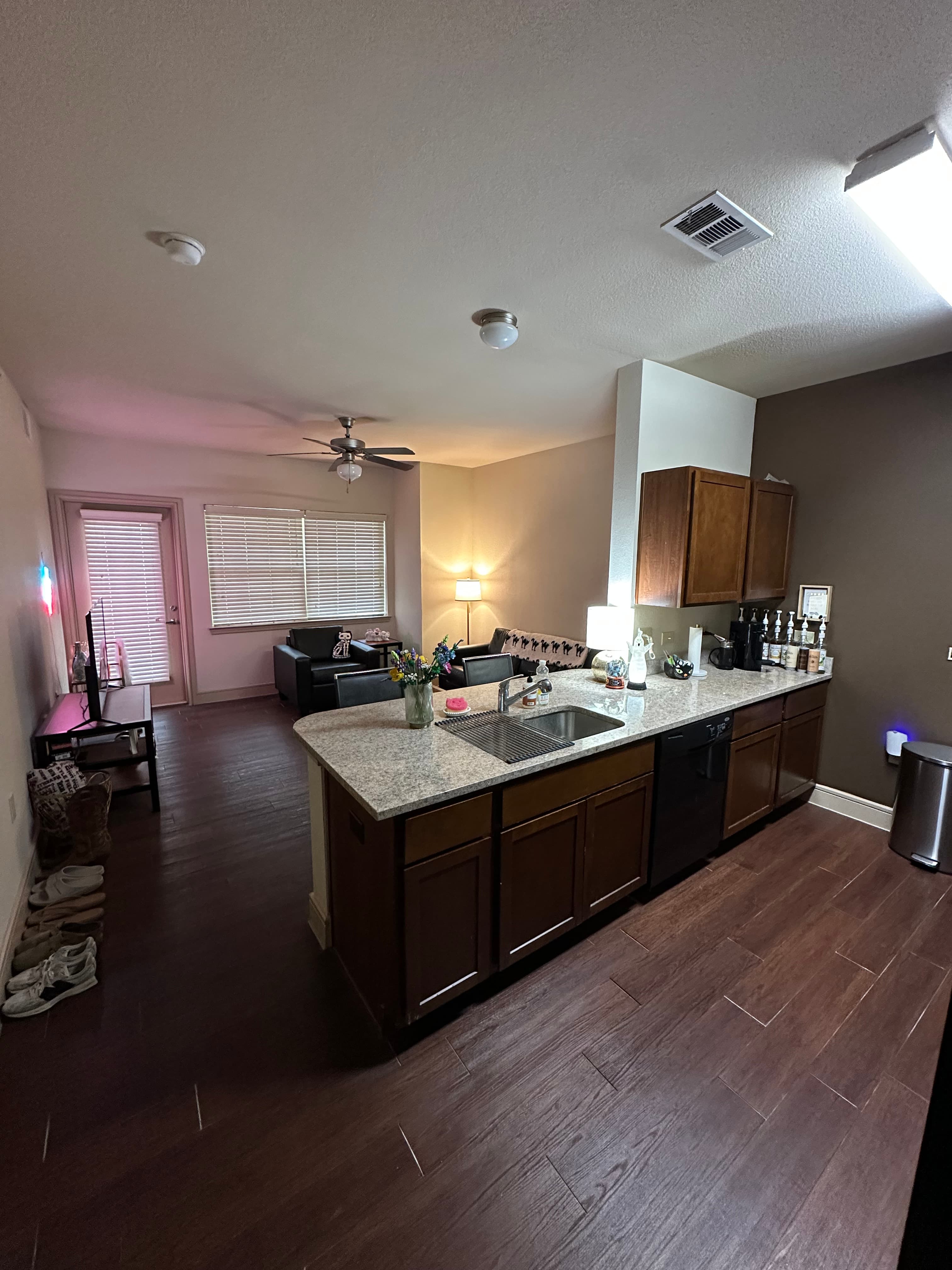 Sublease Available: Furnished 1x1 at Campus Village (Spring 2027)