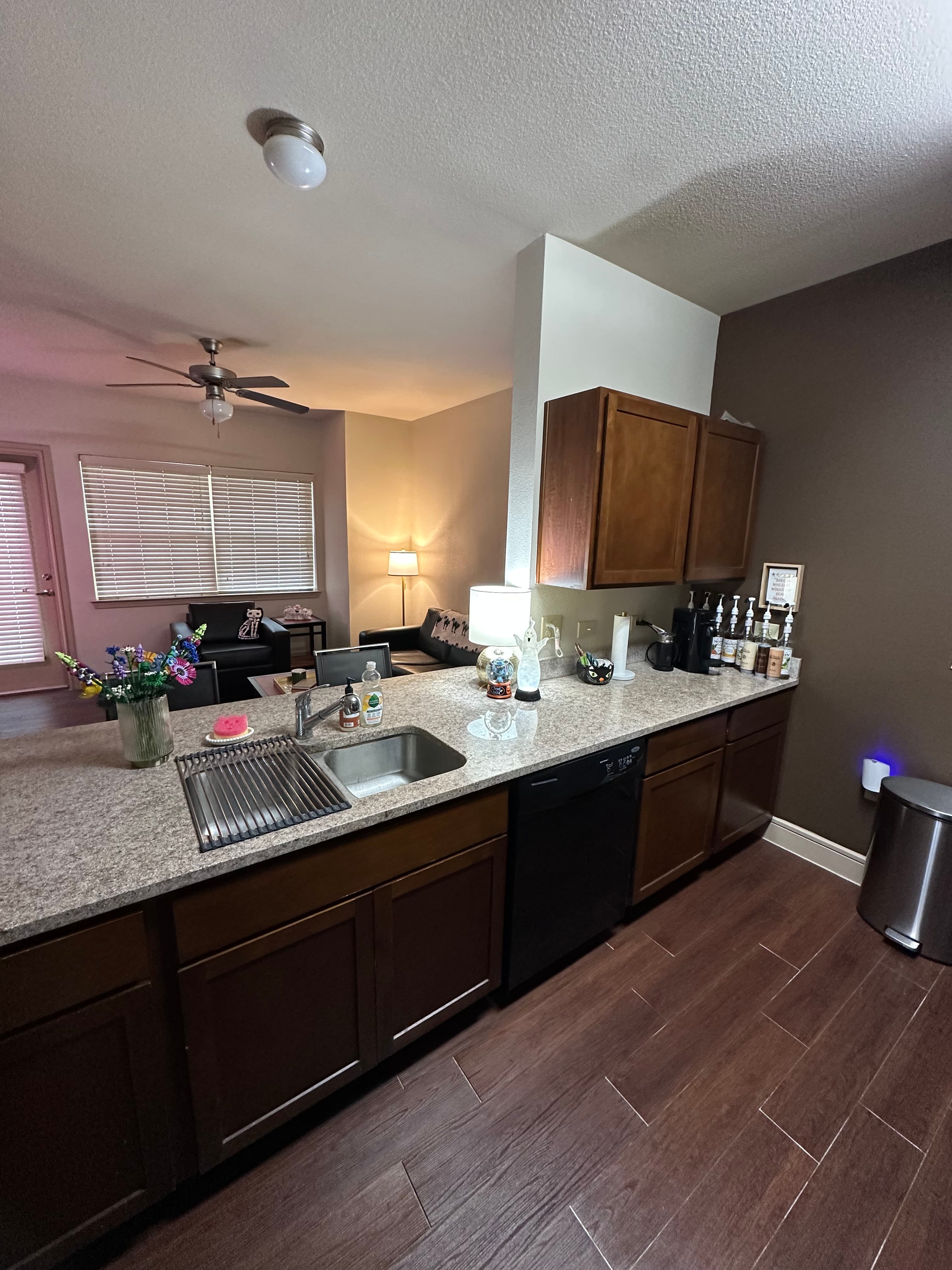 Sublease Available: Furnished 1x1 at Campus Village (Spring 2027)