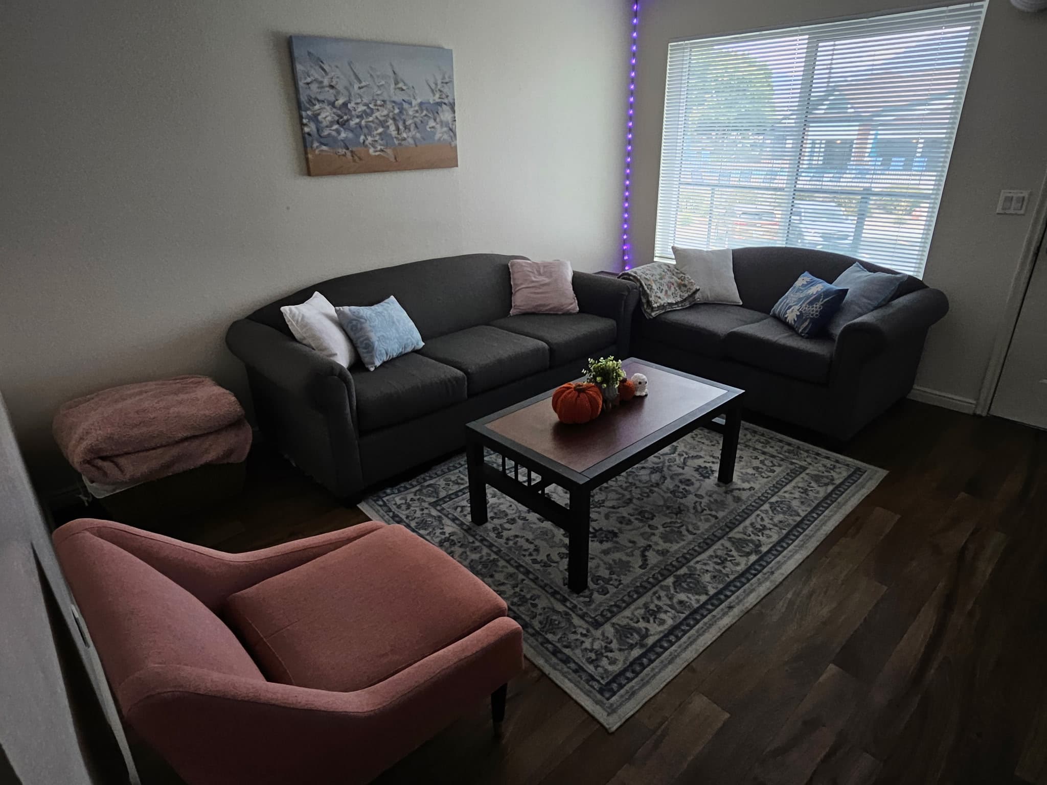 Shared Room Near UVU & BYU