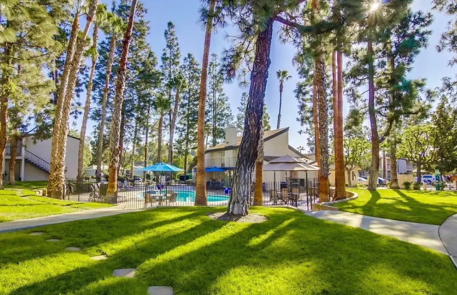 A sunny outdoor scene at Shasta Lane Apartments shows tall pine trees casting shadows on green grass, with a fenced swimming pool, lounge chairs, and buildings in the background. Blue sky is visible through the trees.